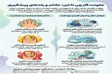 info (15)